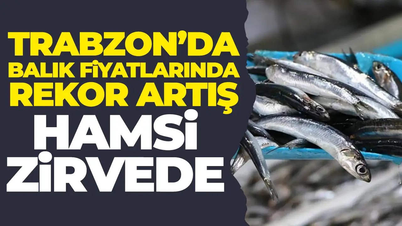 Trabzon’da balık fiyatlarına rekor zam! Hamsi zirvedeki yerini korudu