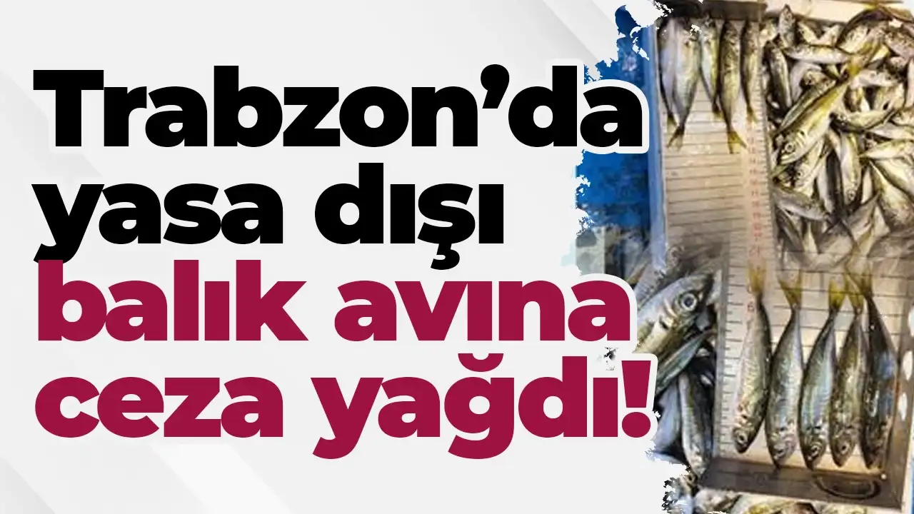 Trabzon’da yasa dışı balık avına ceza yağdı!
