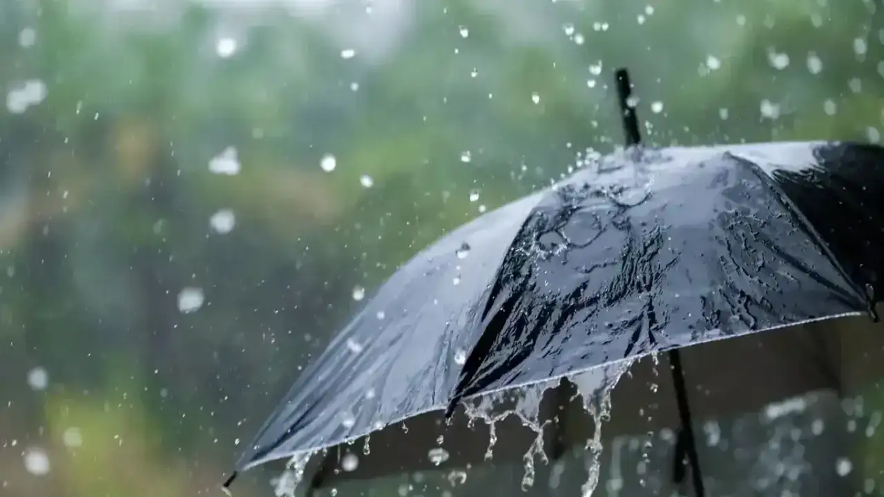 Meteoroloji'den saatli uyarı! Trabzon için "sarı alarm"