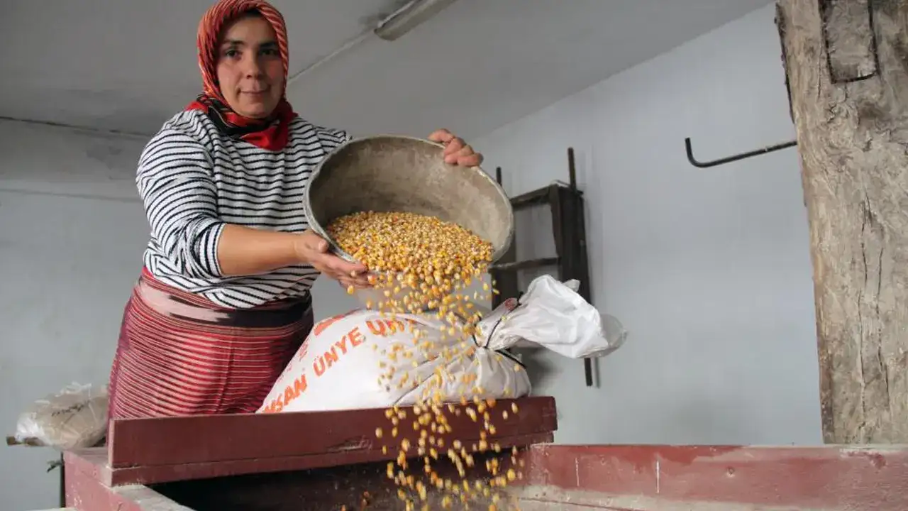 Giresunlu Ayşe Ceylan son su değirmenciliğini yapıyor!