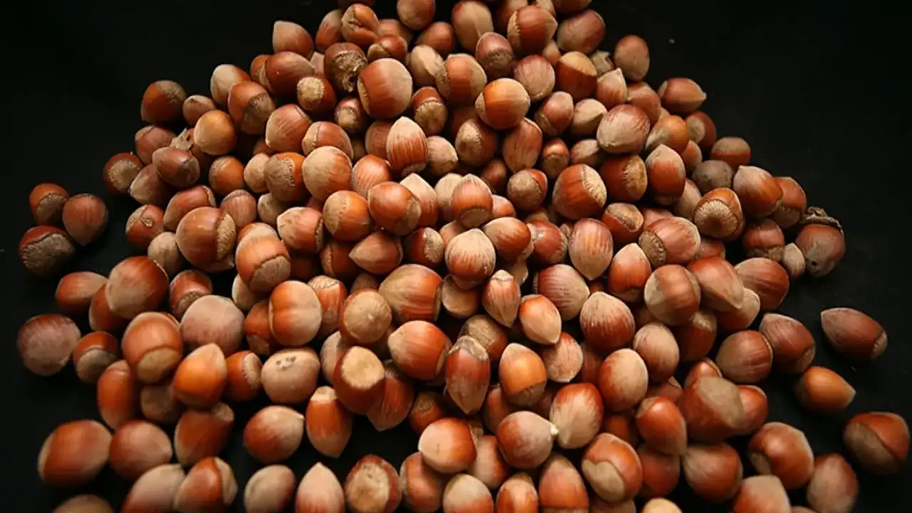 Fındık ihracatında tablo geçen yılın gerisinde kaldı!