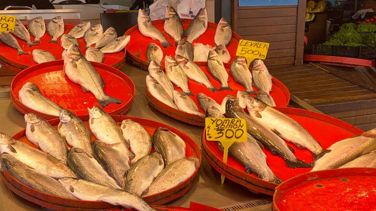 Trabzon’da balık fiyatları arttı! Hamsi fiyatı rekor kırıyor