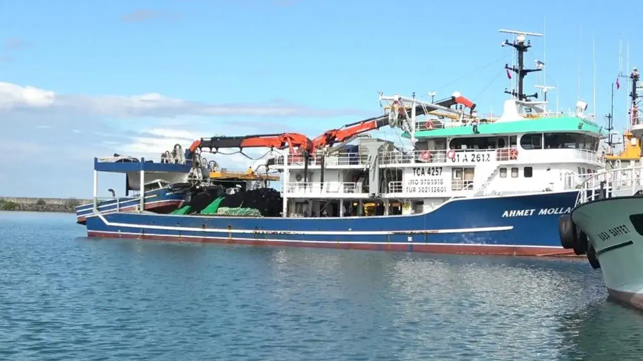 Tezgahların kralı hamside istenen bulunamadı: Balıkçıların gözü 10 Kasım’da