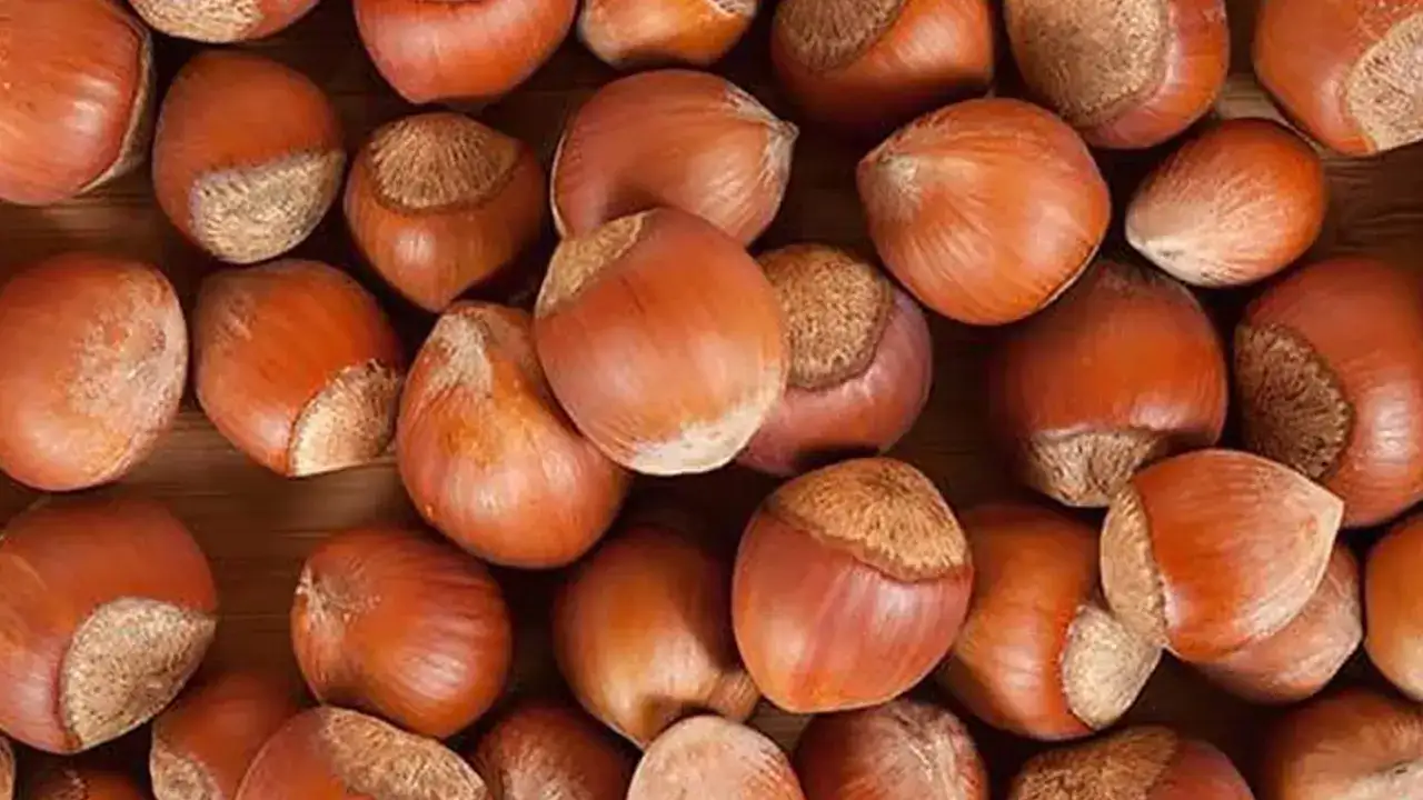 Trabzon’da serbest piyasada fındık fiyatları belli oldu