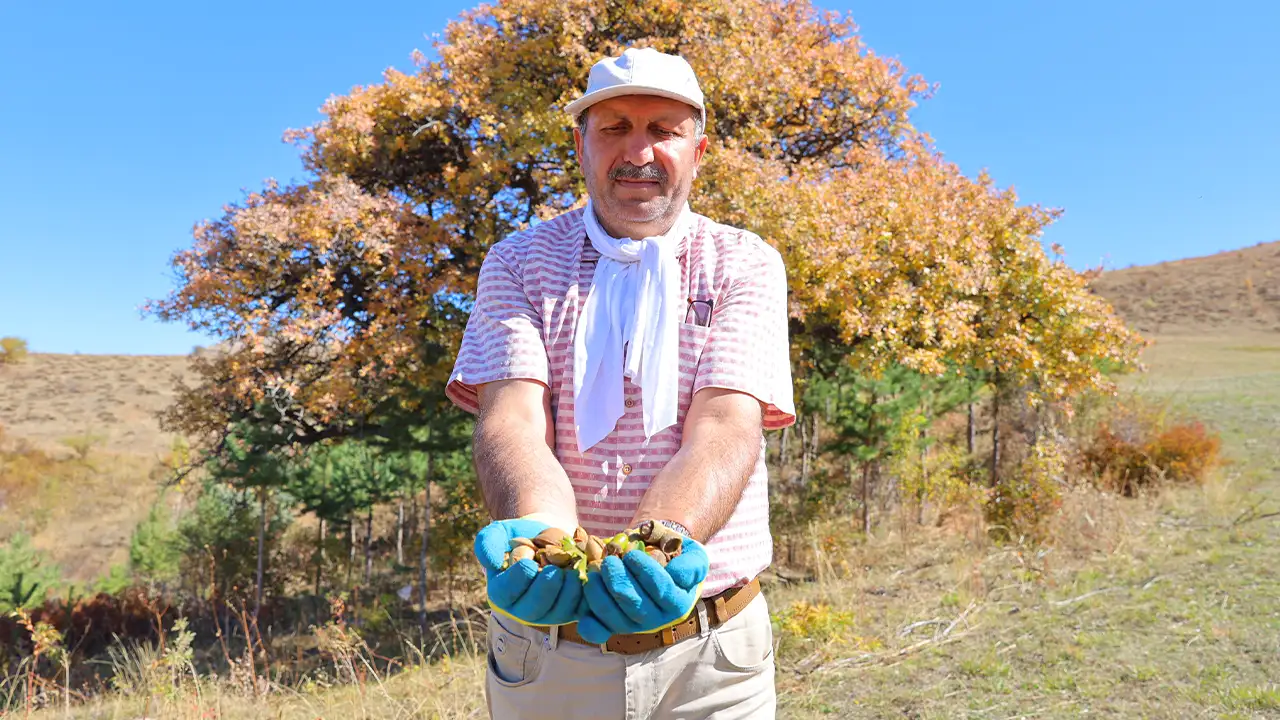 21 yıldır cebindeki tohumları köyünün çorak arazilerine ekiyor