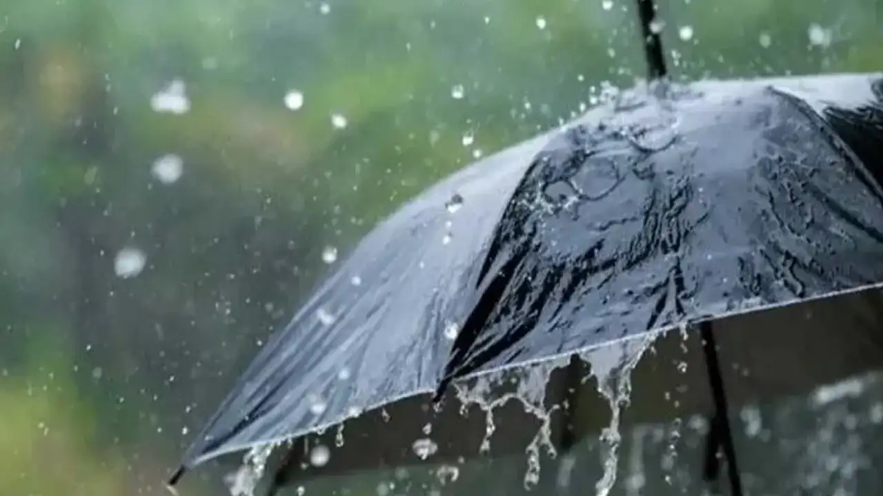 Trabzon’da Bugün Yağış Uyarısı: İç Kesimlerde Sağanak Bekleniyor