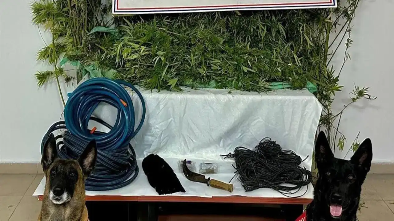 Artvin'de uyuşturucuya geçit verilmedi: 1 kişi tutuklandı