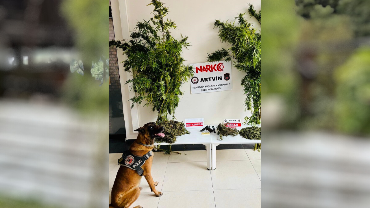 Artvin Borçka’da uyuşturucu operasyonu: 5 kişi gözaltında