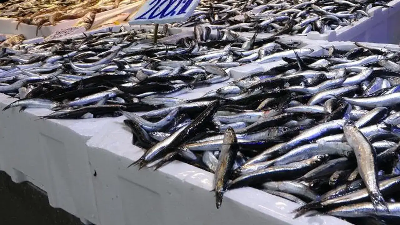 Trabzon’da hamsi önce tezgahta sonra sofrada yerini aldı: Sıra tuzlamaya geldi