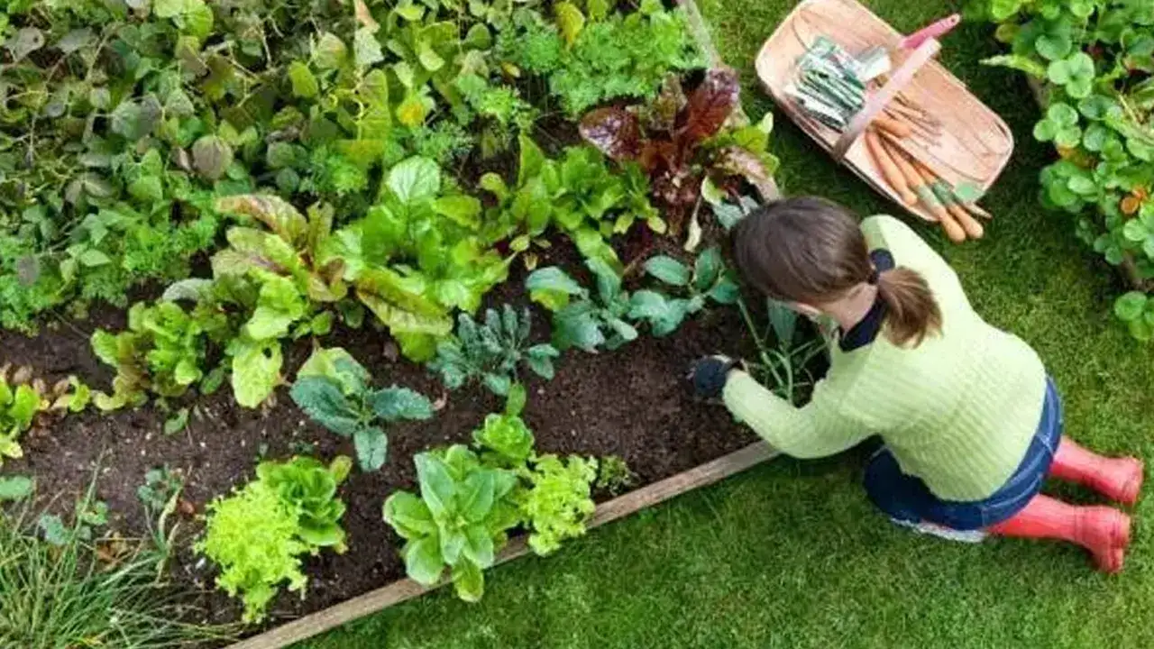 Trabzon’da çocukların yüzünü güldürecek proje: Evlatlarımıza değer katacak