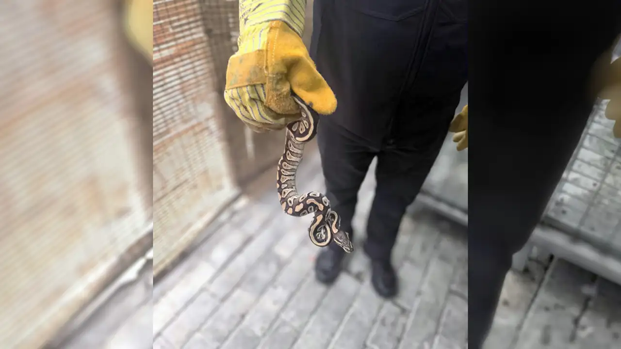 Konya polisi bile gözlerine inanamadı: Cebinden bakın ne çıktı