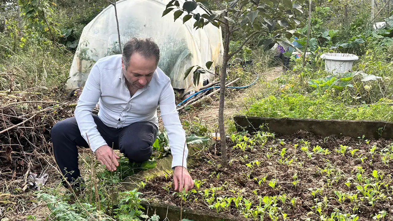 Trabzon’da balkondan Türkiye’ye: "Alın yiyin çekirdeklerini bana getirin diyorum"