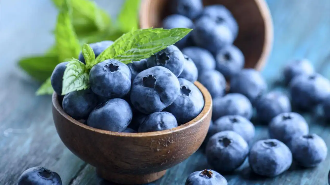 Ordu’da tarımda dev adım: Aronya ve maviyemiş sınıf atlıyor