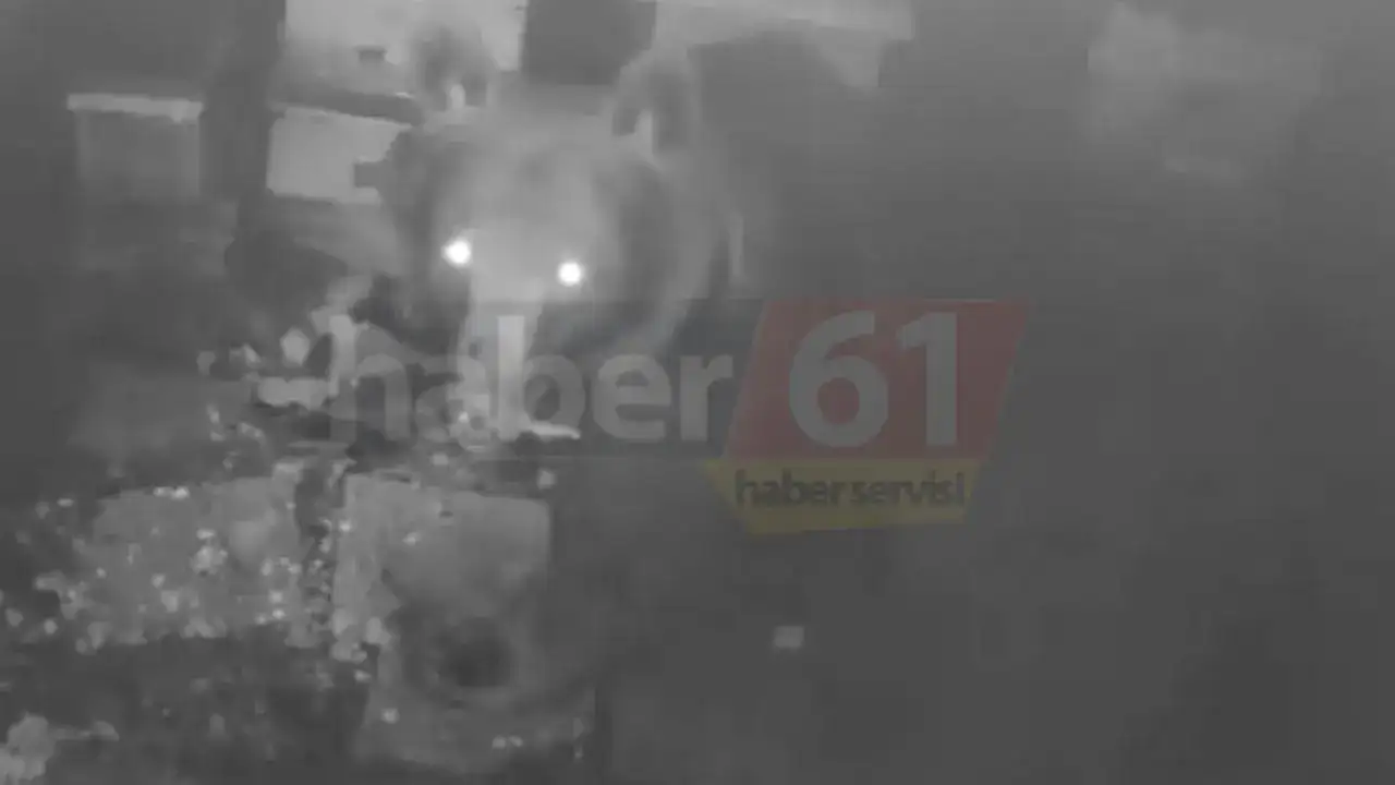 Trabzon’da meraklı misafir: Kovanları koklayan ayı kamerada