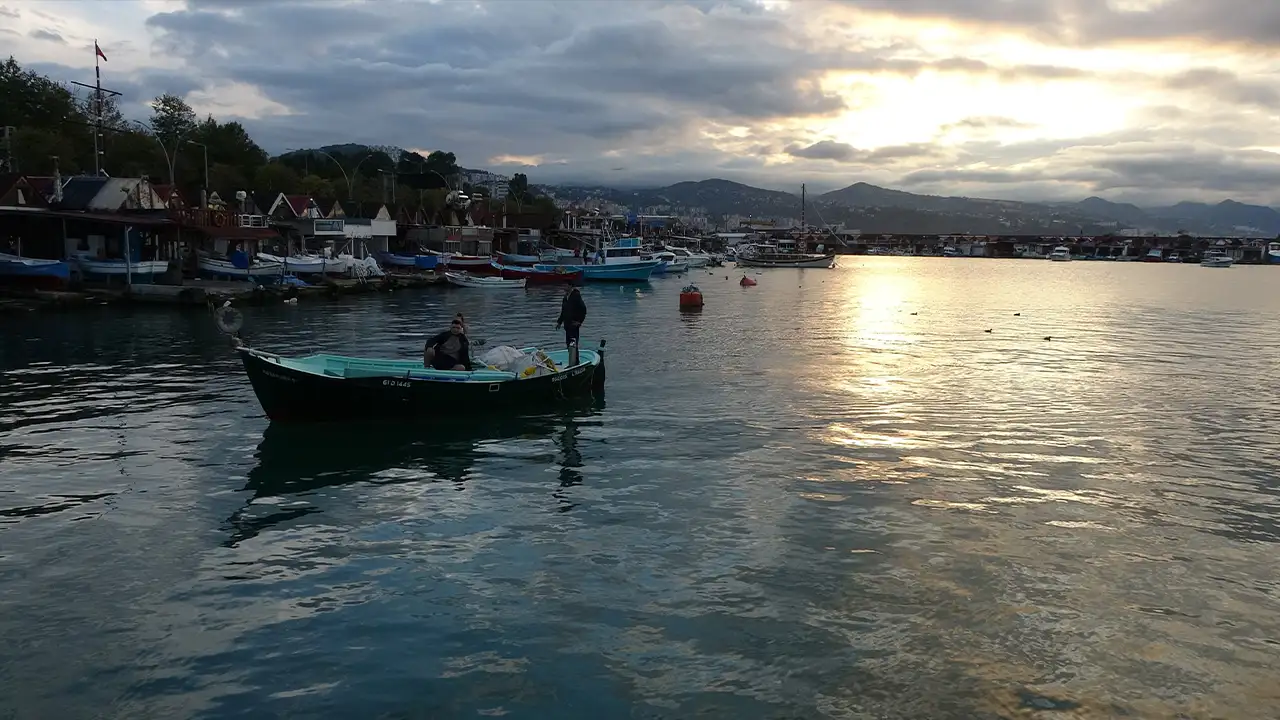 Trabzon’da balıkçılar zor günler yaşıyor: Palamut bu sezon neden yok?