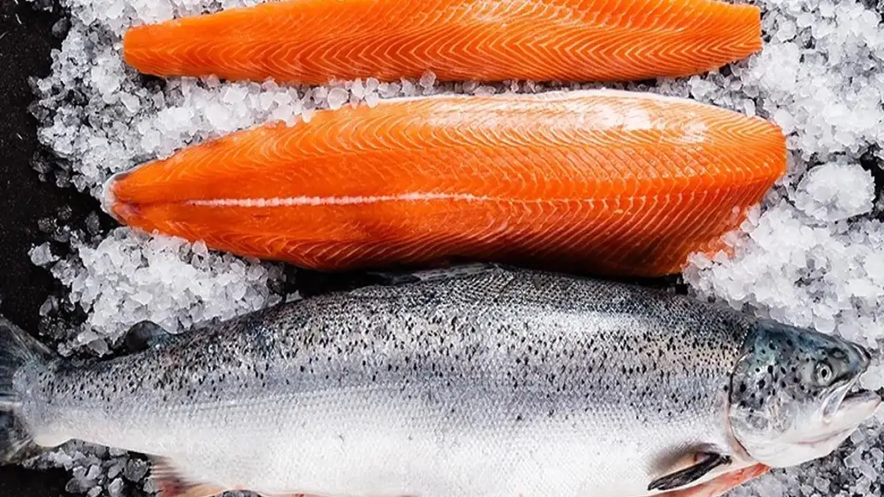 Çin'de Türk somonu rüzgarı esecek