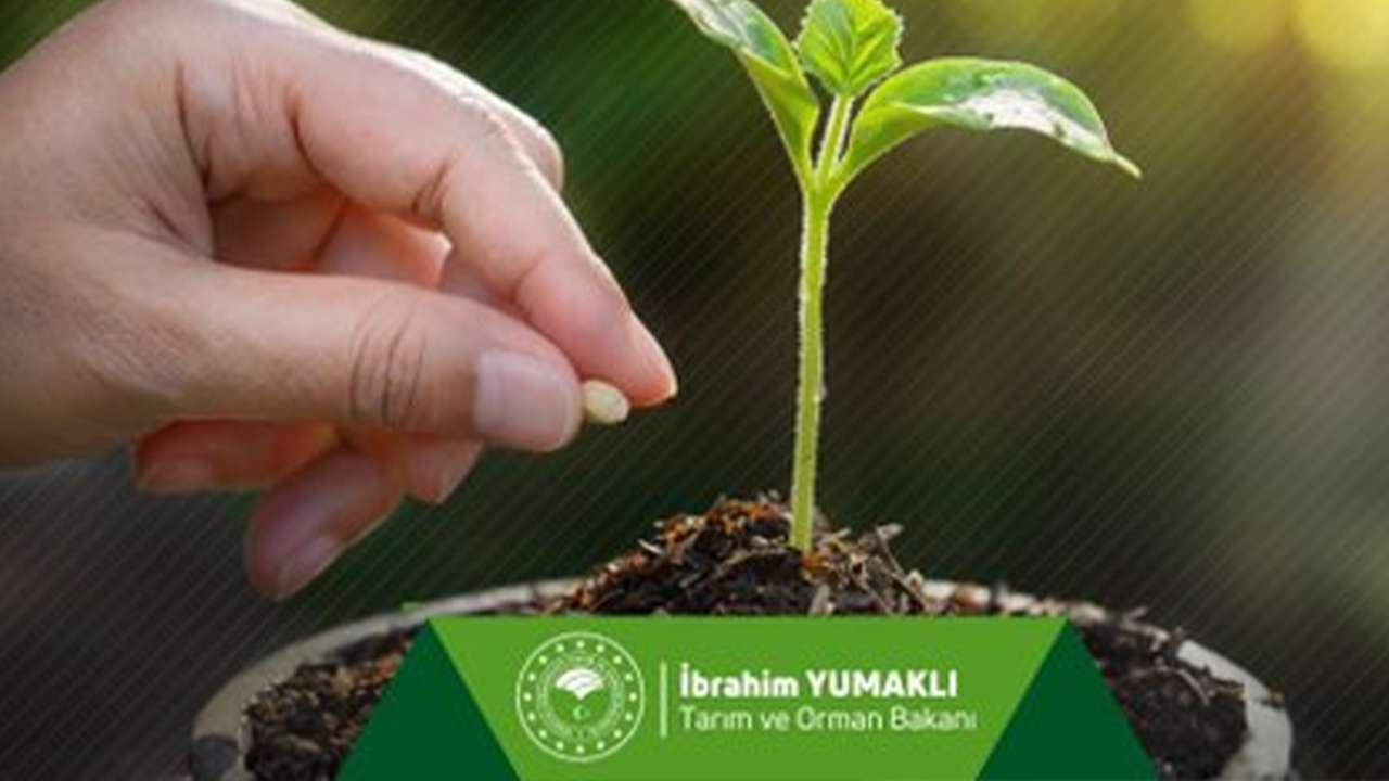 Çiftçilere büyük müjde: Destek ödemeleri bugün hesaplarda