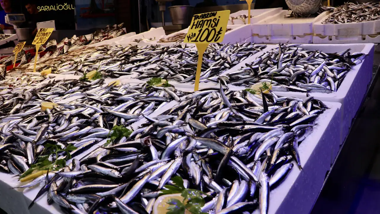 Trabzon’da hamsinin fiyatları yeniden arttı: İlgi azalmadı