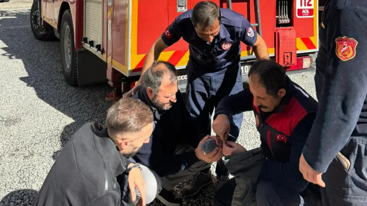 Gümüşhane'de güvercinin ayağına ip dolandı: İtfaiye kurtardı