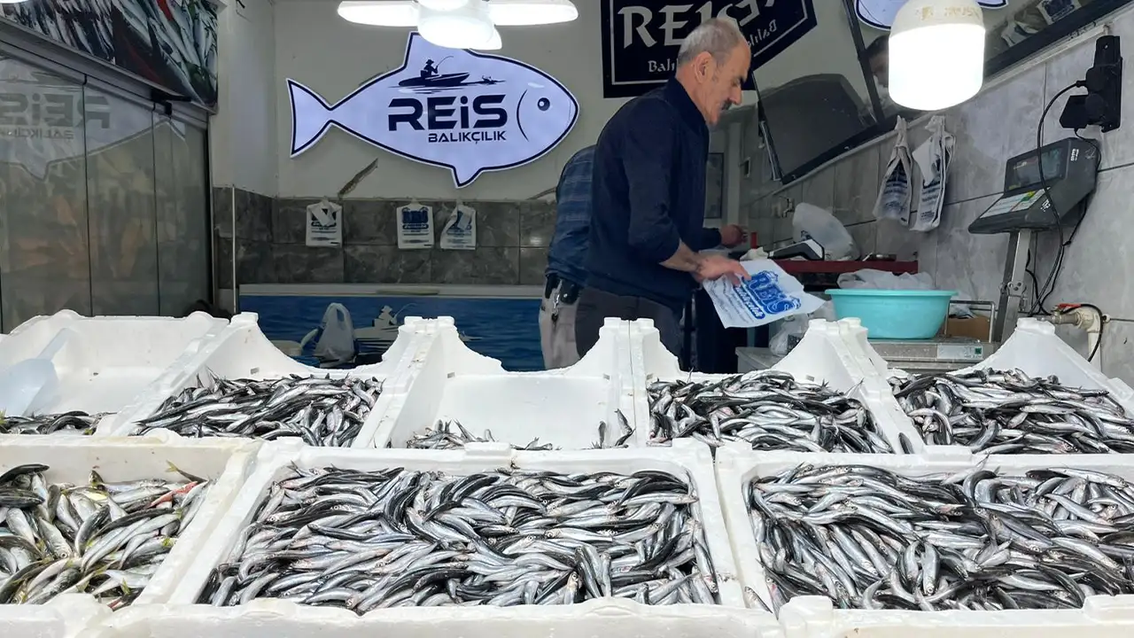 Bayburt’ta hamsi 100 liradan tezgahlarda yerini aldı