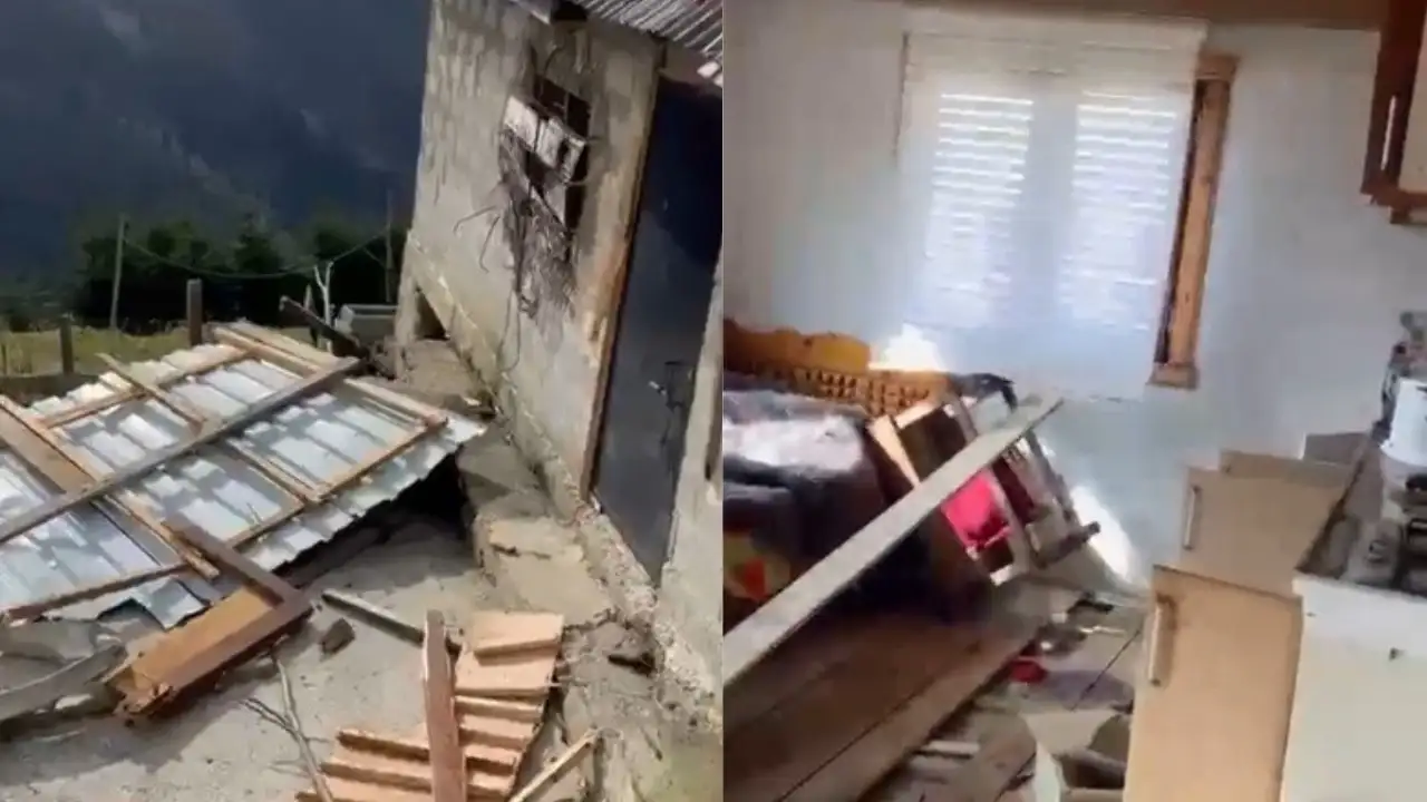 Rize yaylalarında ayı paniği: 20 ev talan edildi