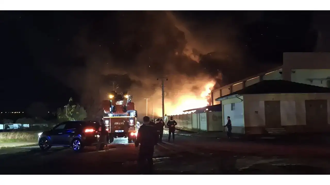 Samsun'da geri dönüşüm fabrikasında yangın: Ekipler alevleri kontrol altına aldı