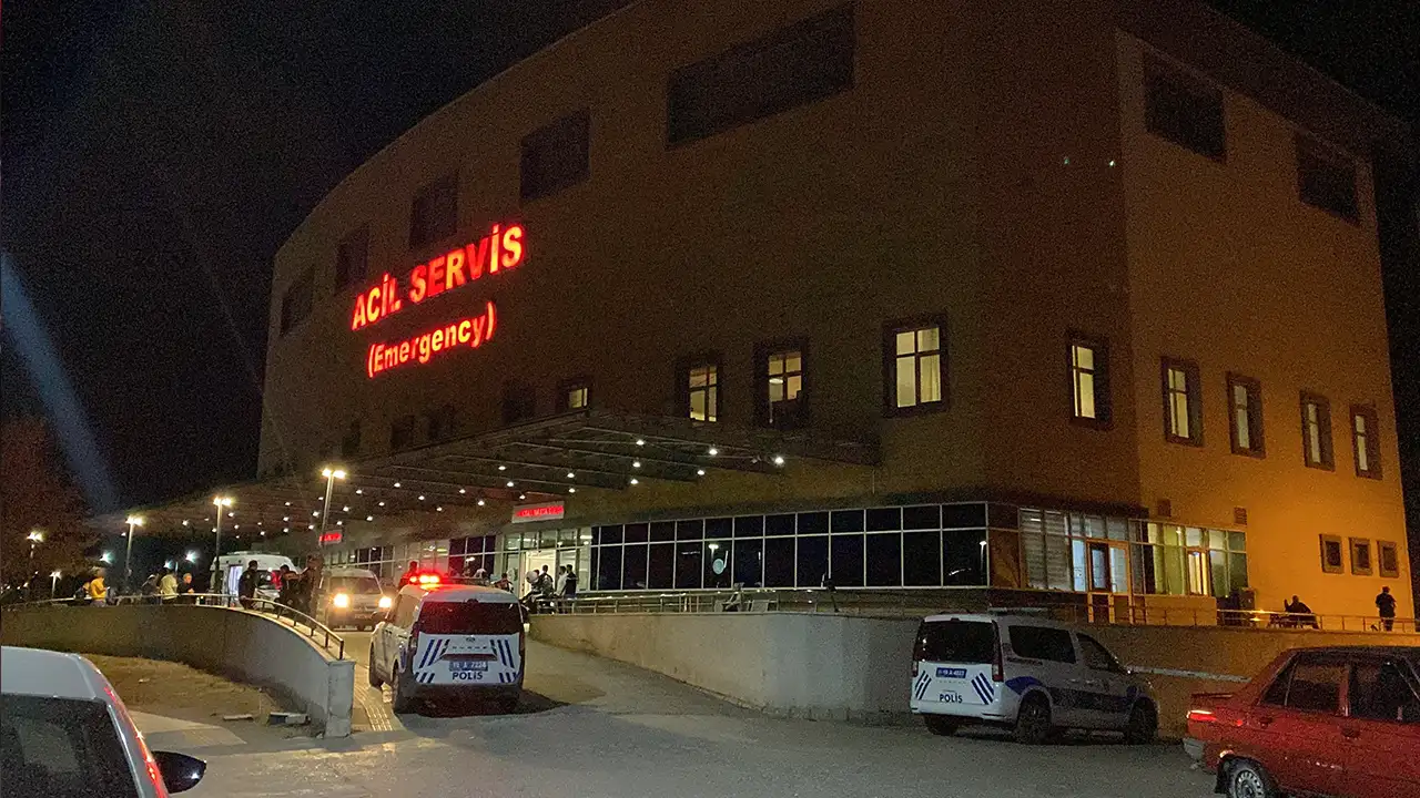 Çorum'da hayvan otlatma kavgası kanlı bitti: Komşusunu vurdu, ardından intihar etti