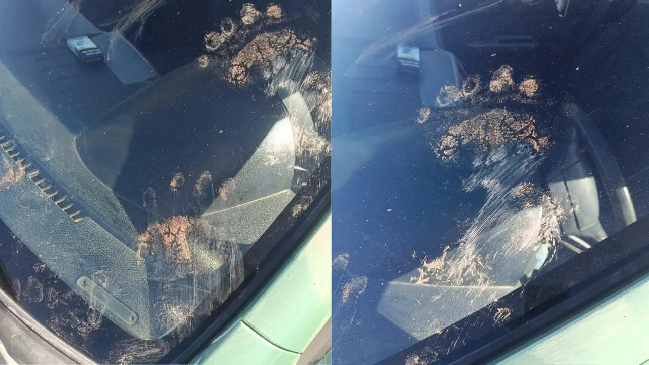 Gümüşhane’de sabah şoku: Aracını bakın nasıl buldu