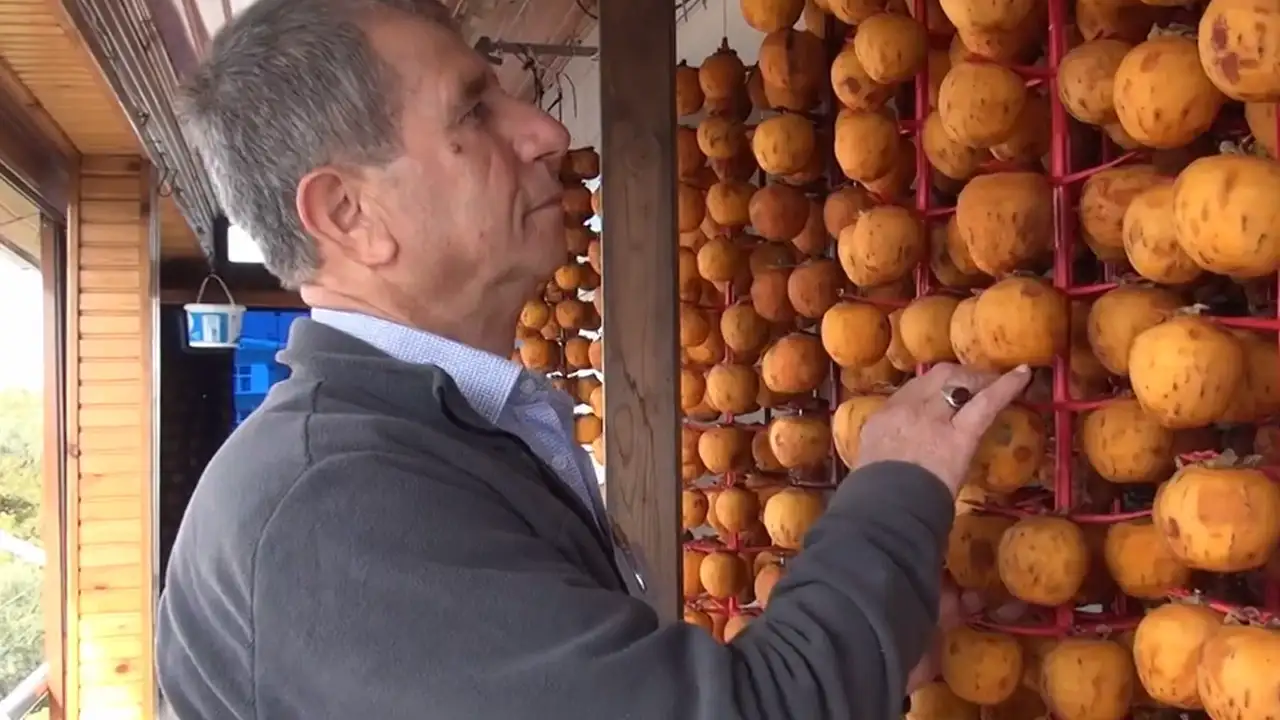 Trabzon Hurmasında yeni dönem: Balkonla başlayan yolculuk 2 tona ulaştı