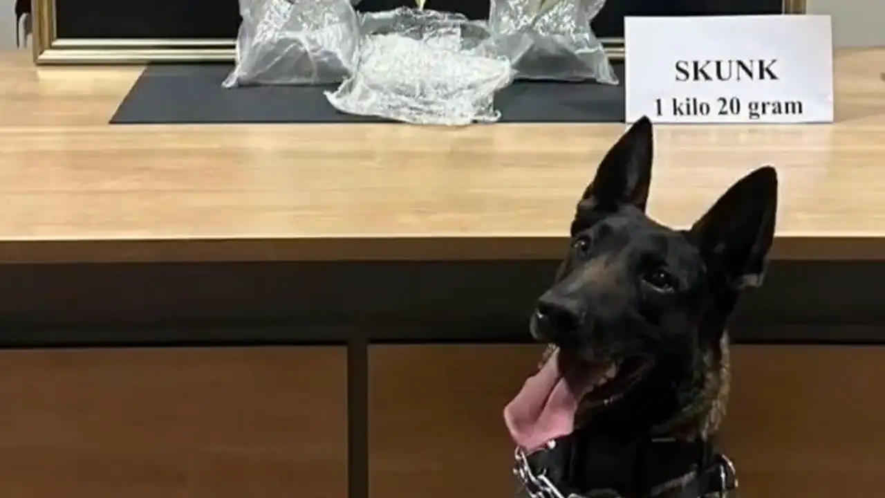 Bayburt’ta otobüste 1 kilo 20 gram skunk ele geçirildi