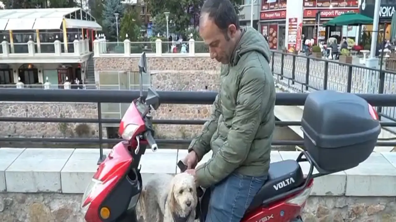 Gümüşhane’de işe köpeğiyle gidiyor: Köpek kendi kendine motora biniyor