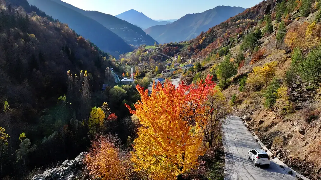 Zigana’da sonbahar büyüsü: Gümüşhane renk cümbüşüne büründü