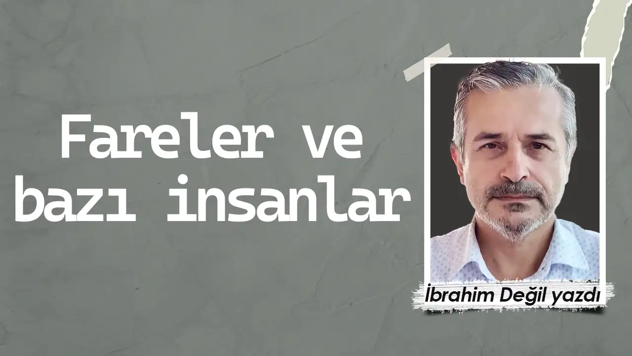 Fareler ve bazı insanlar