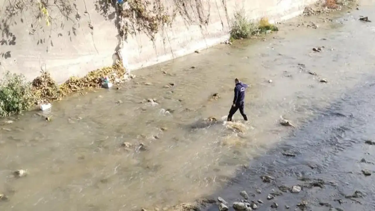 Gümüşhane'de Harşit Çayı'na düşen tavuk itfaiye ekiplerince kurtarıldı