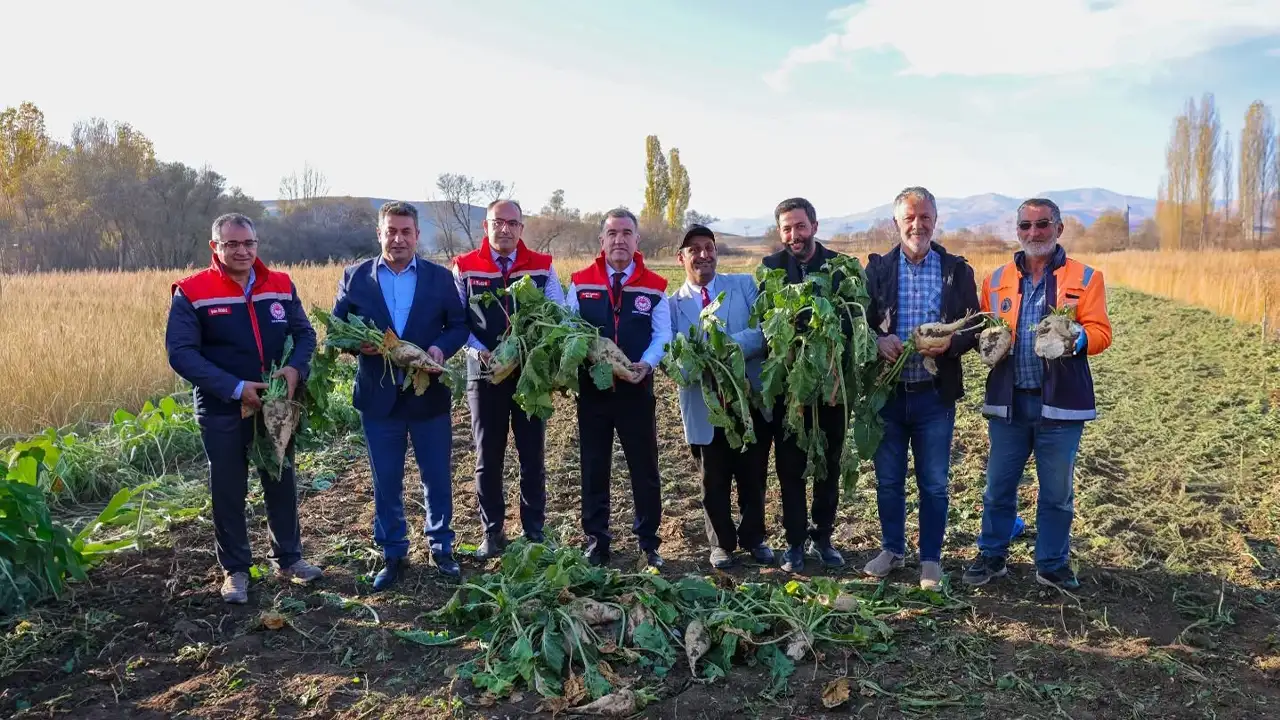 Bayburt’ta şeker pancarı hasadı başladı: 135 bin ton şeker pancarı bekleniyor