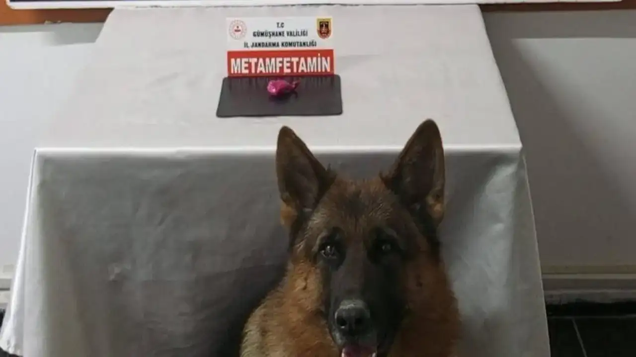 Trabzon'dan Gümüşhane'ye giderken yakalandılar