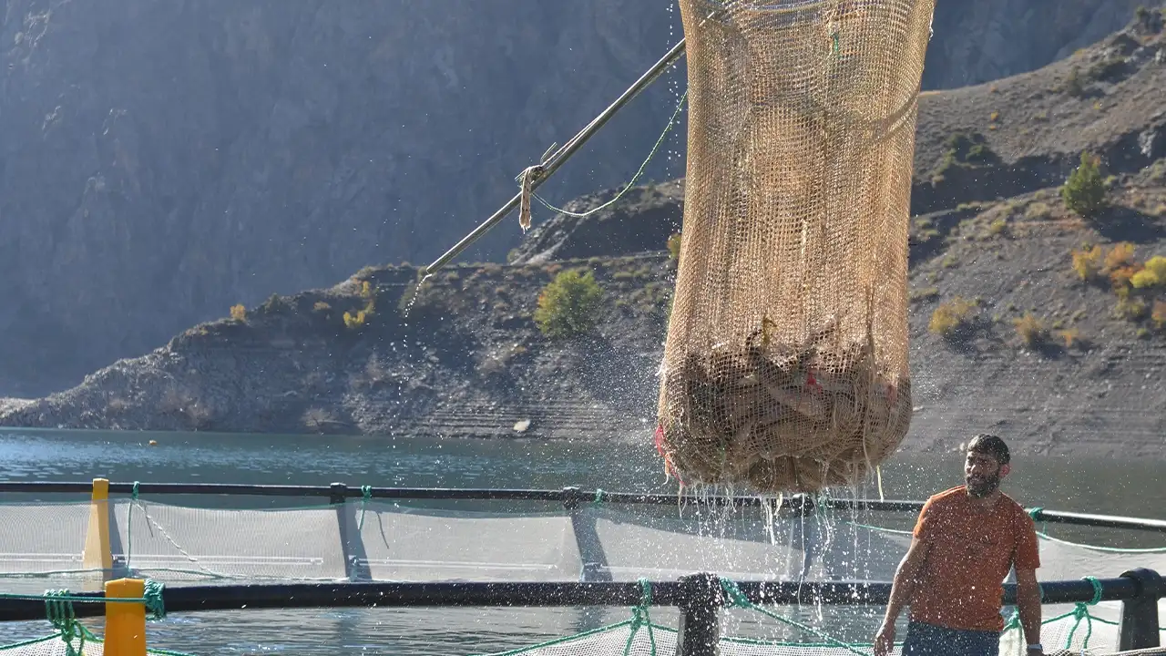 Artvin’de yetişen Türk somonu 67 ülkeye ihraç ediliyor