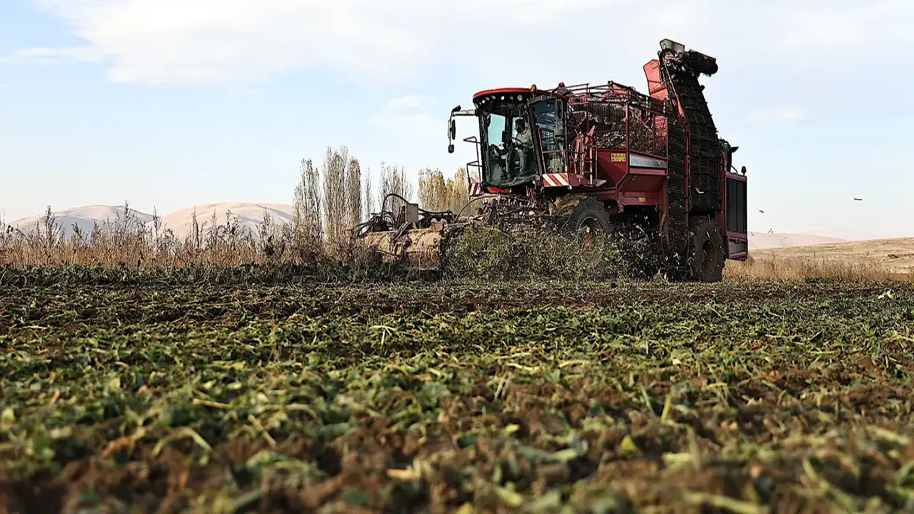 Bayburt’ta şeker pancarı üretimi 5 yılda 6 kat arttı