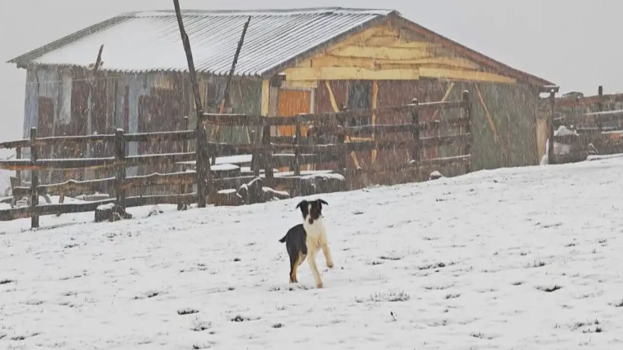 Ordu’nun yüksek kesimlerinde mevsimin ilk karı yağdı