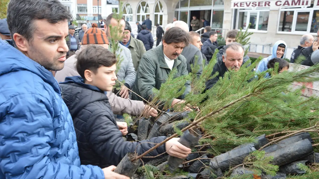 Samsun Havza’da 1000 kızılçam fidanı ücretsiz dağıtıldı