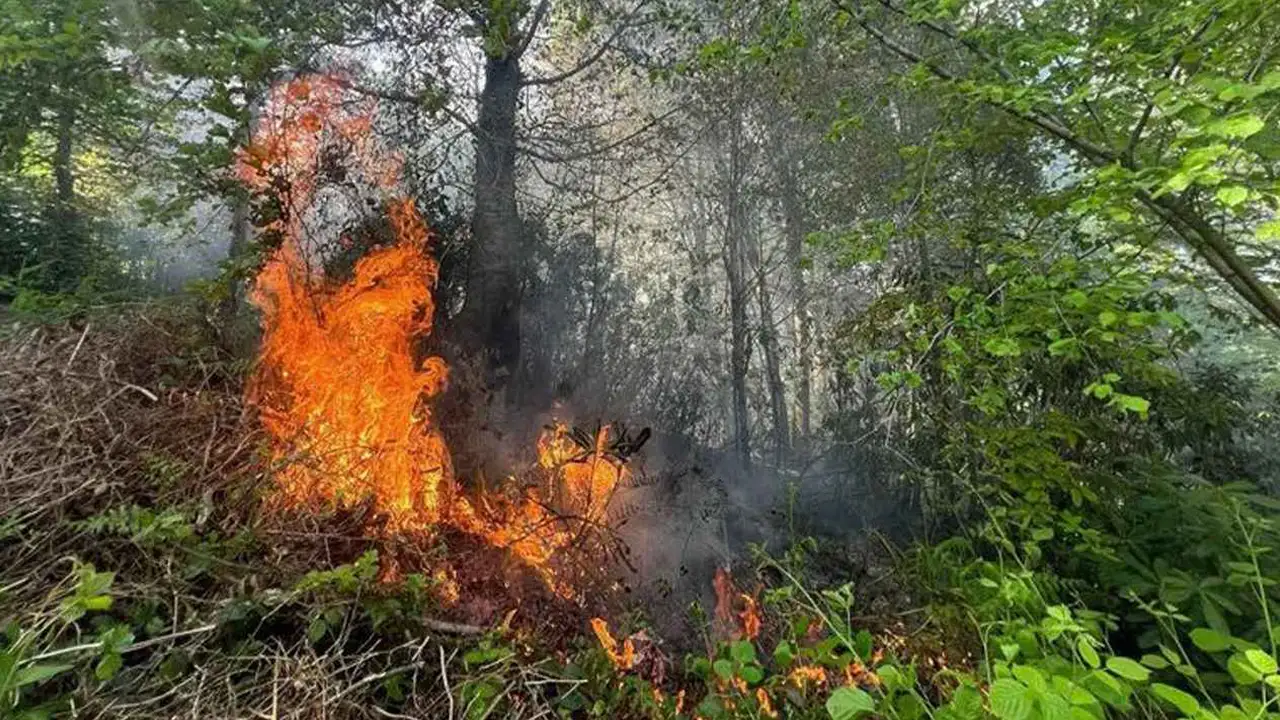 Samsun'da bahçede yaktığı ateşin üzerine düştü: Yaşlı kadın hayatını kaybetti