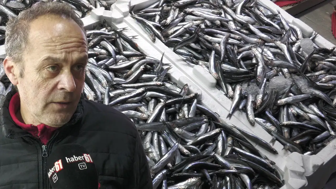 Trabzon’da 11 balıkçıya 37 bin TL ceza: “Sorun limanda çözülmeli”