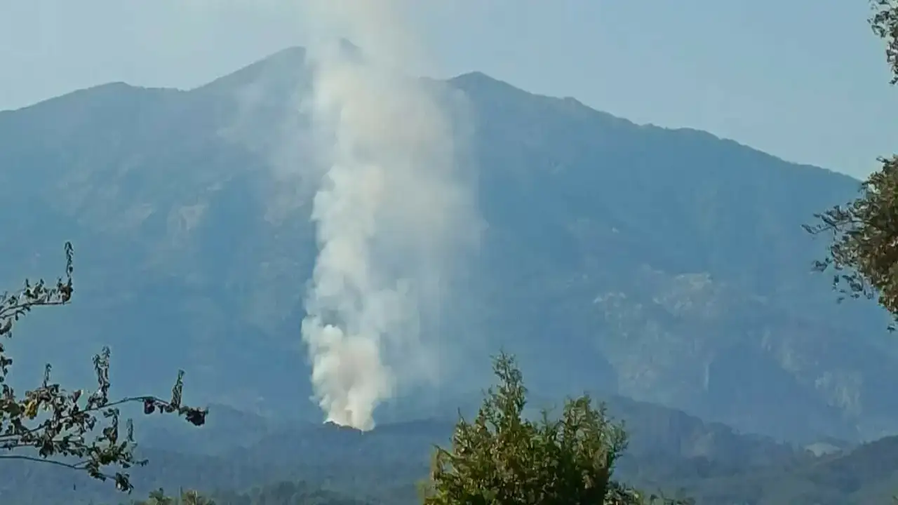 Muğla'da orman yangını çıktı: Ekipler müdahale ediyor