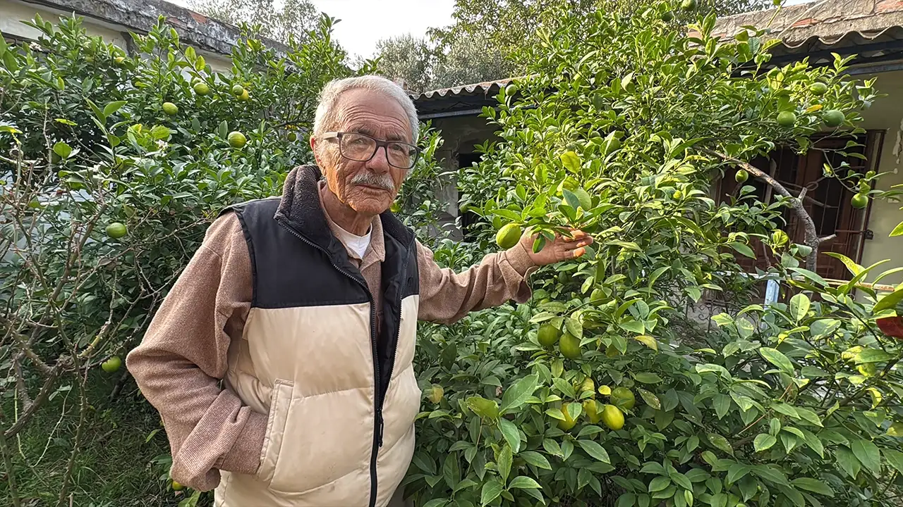 Samsunlu emekli 86 yaşında organik meyve bahçesi kurdu: 54 çeşit yetiştiriyor