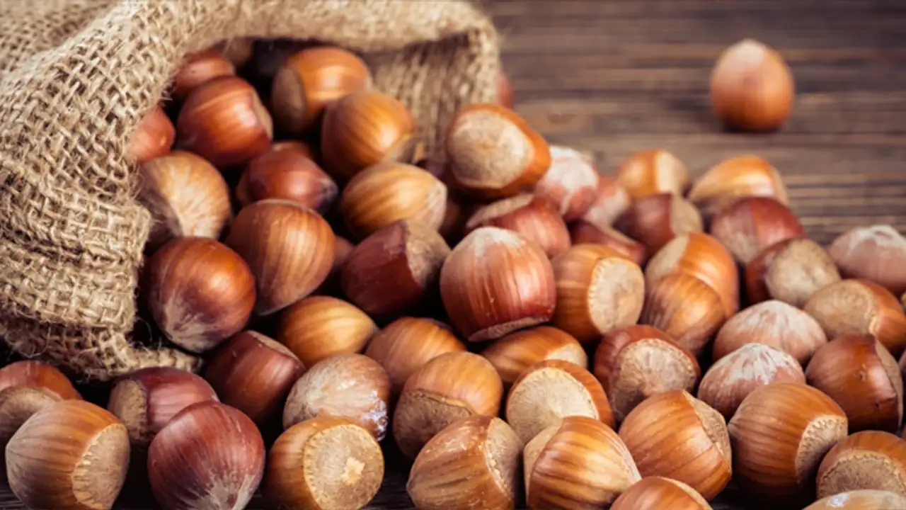 Trabzon'da fındık fiyatları sıkıştı: Yükselişe geçer mi?