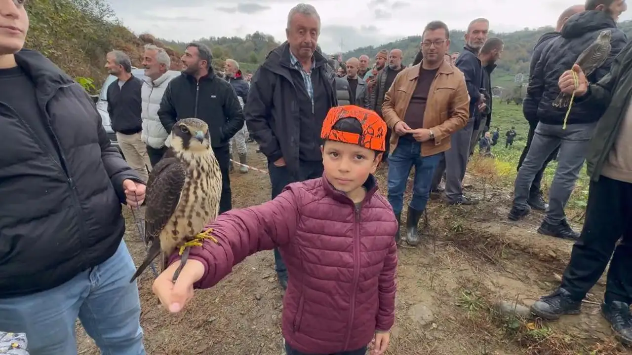 Rize'de atmacalar bıldırcın avında yarıştı: Festival büyük ilgi gördü
