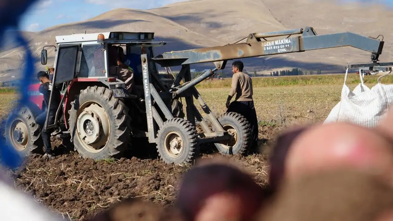 Bayburt'ta İranlı işçiler patates topluyor: Üreticiler barınma desteği istiyor