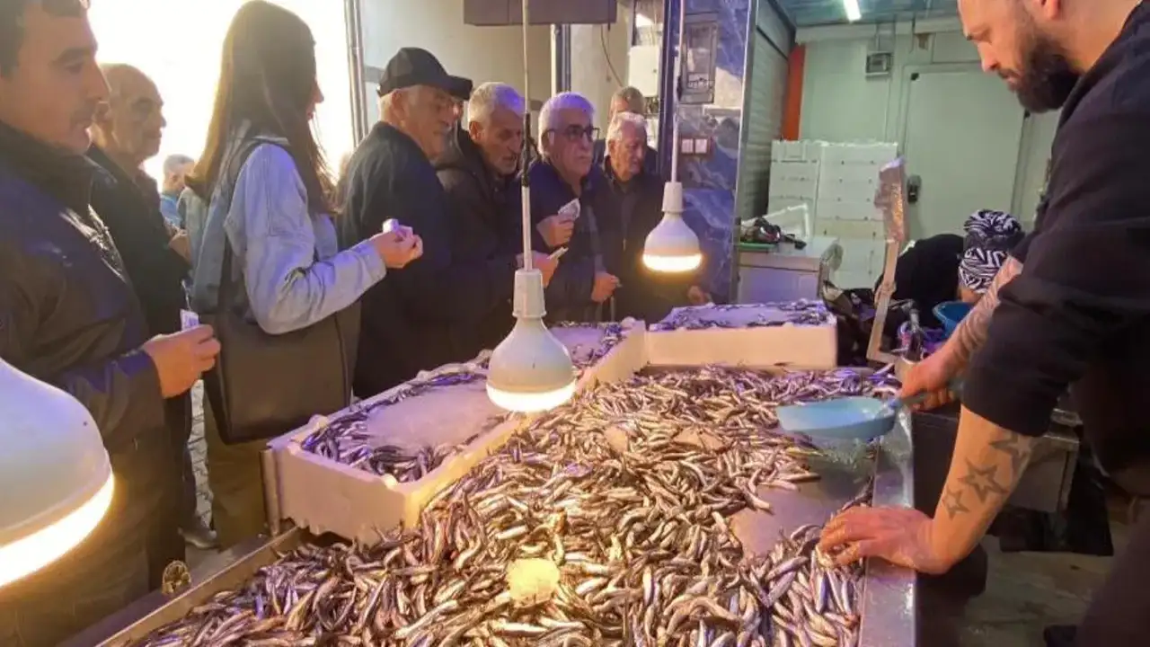 Artvin'de hamsi izdihamı: 3 ton hamsi 2 saatte tükendi