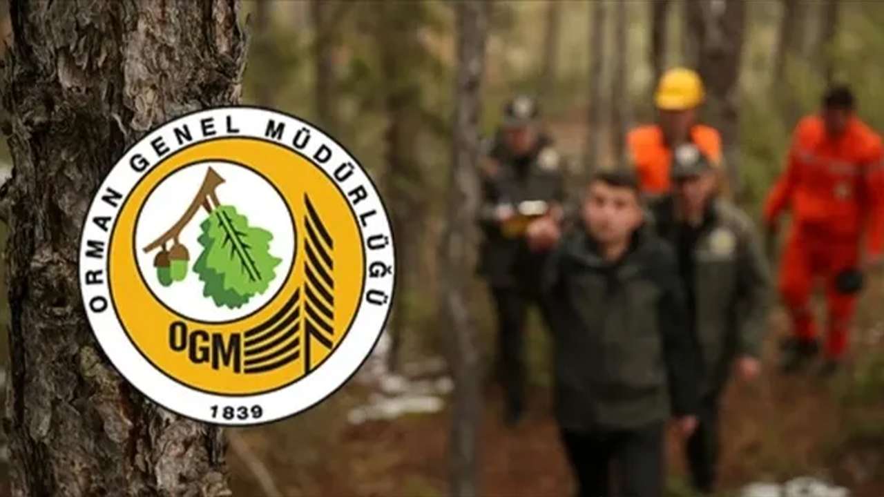 Bakanlık duyurdu: Başvurular başladı, yüzlerce kişiye istihdam fırsatı