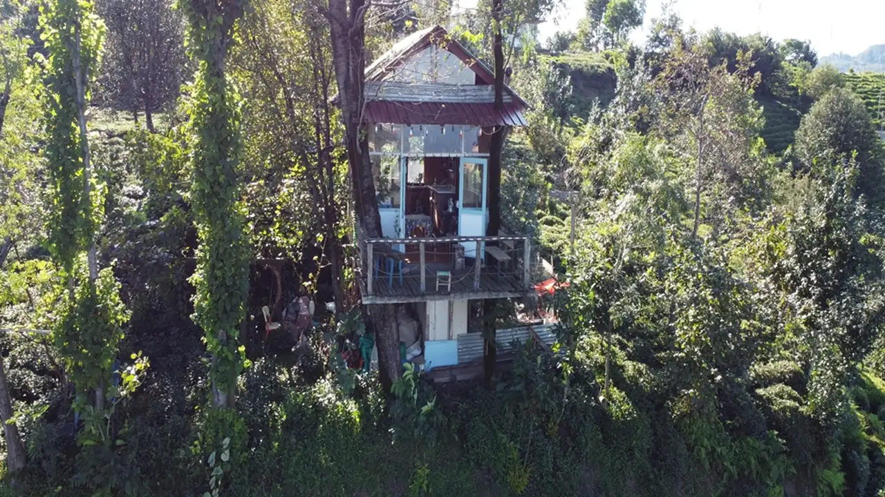 Rize'de atık malzemeden manzaralı ağaç ev yaptılar